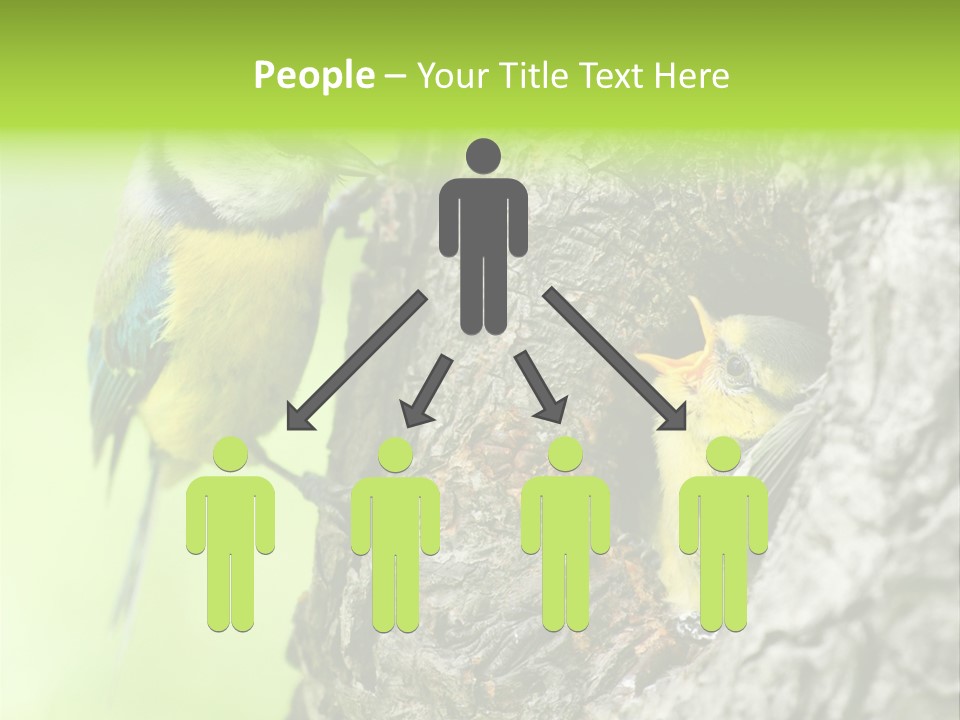 Wildlife Zoology Survive PowerPoint Template