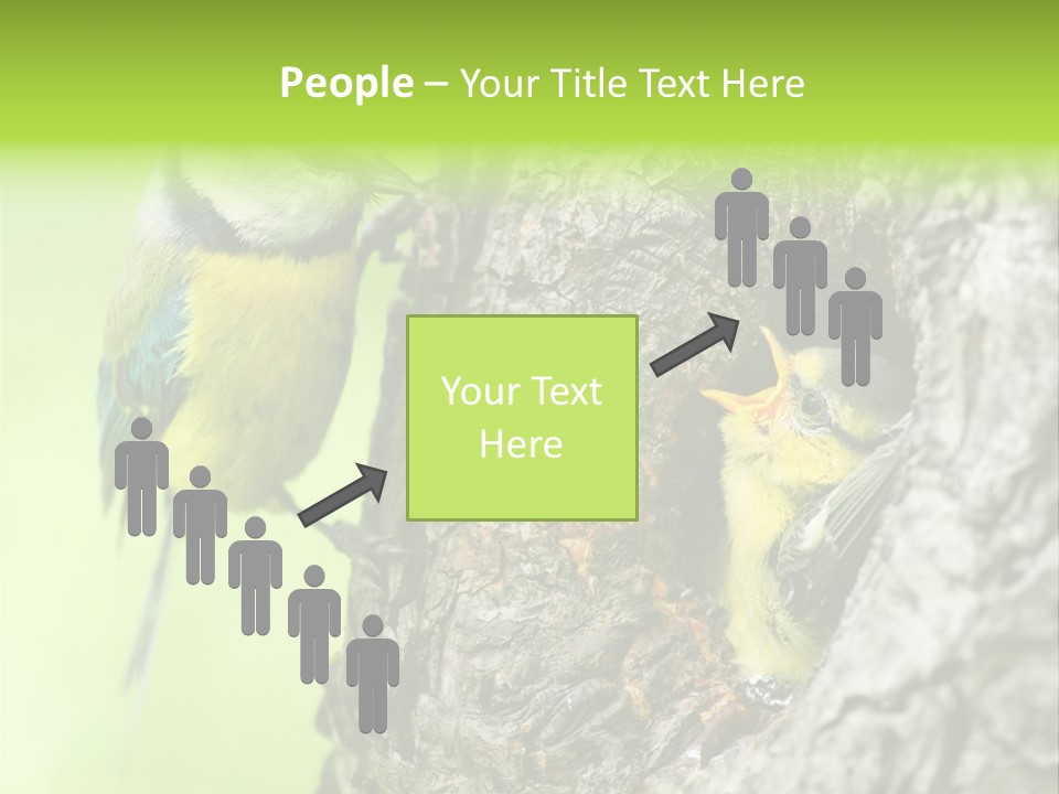 Wildlife Zoology Survive PowerPoint Template