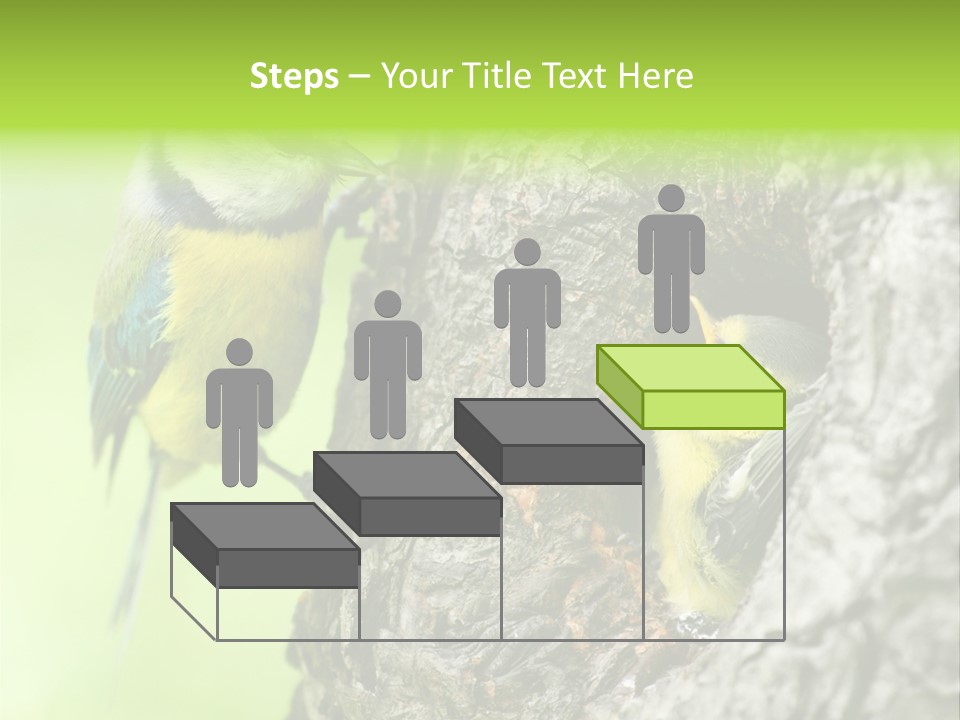 Wildlife Zoology Survive PowerPoint Template