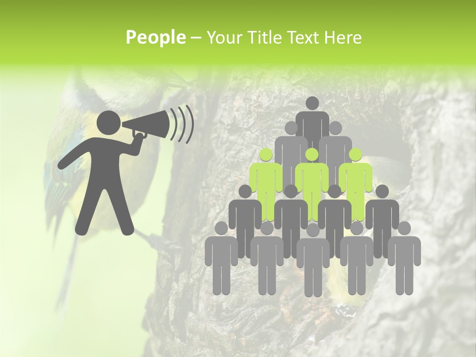 Wildlife Zoology Survive PowerPoint Template