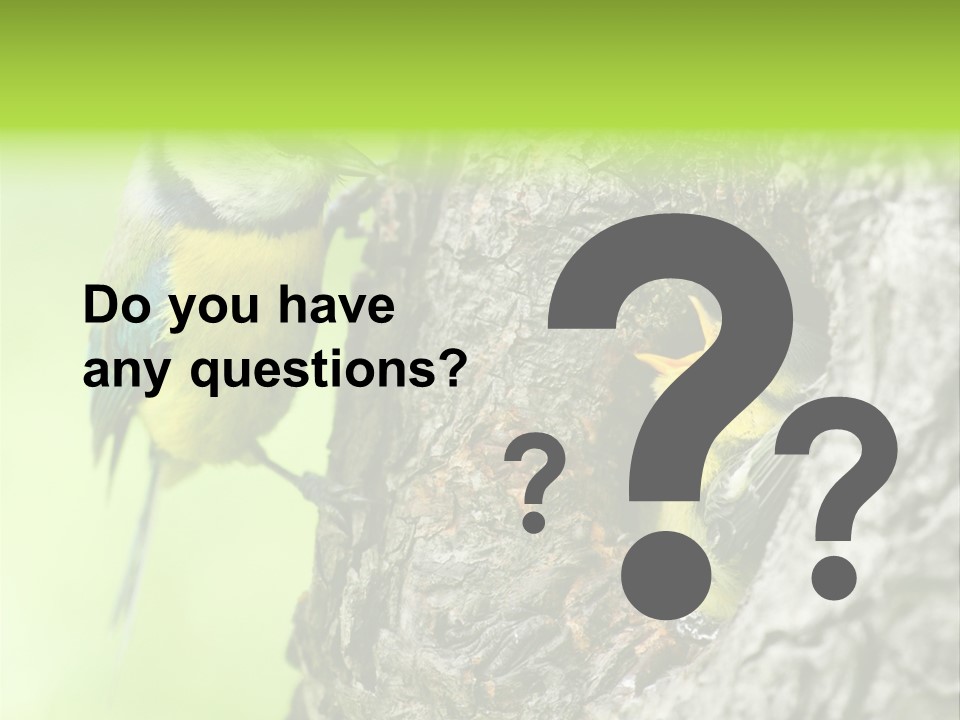 Wildlife Zoology Survive PowerPoint Template