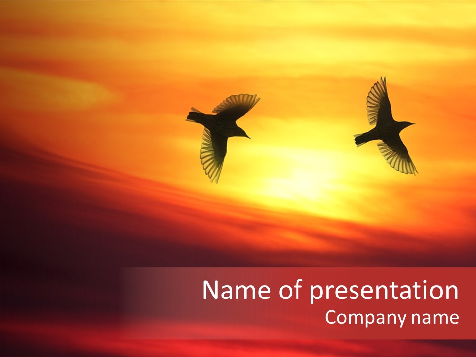 Shine Harmony Graceful PowerPoint Template