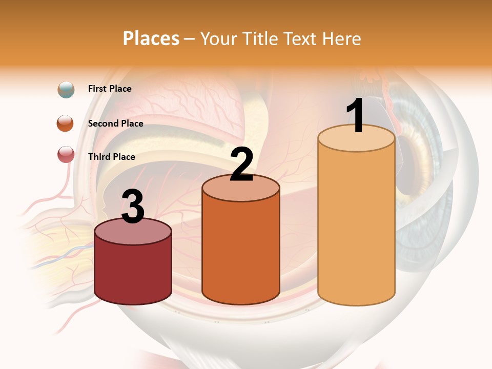 Anatomy Iris View PowerPoint Template