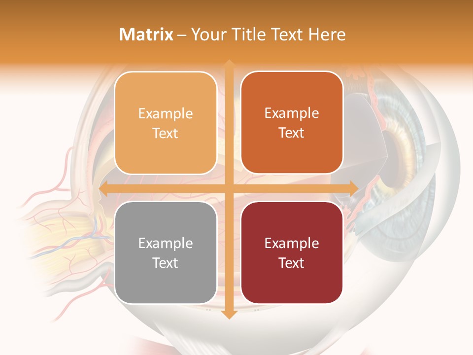 Anatomy Iris View PowerPoint Template