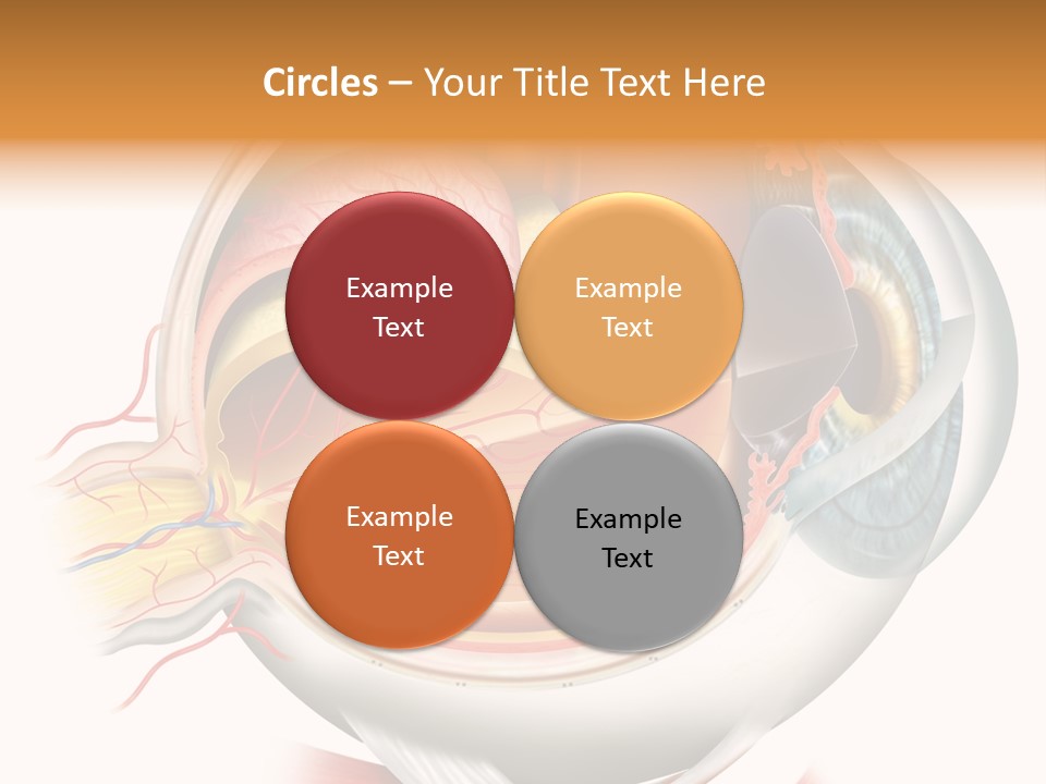 Anatomy Iris View PowerPoint Template