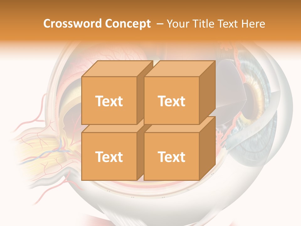 Anatomy Iris View PowerPoint Template