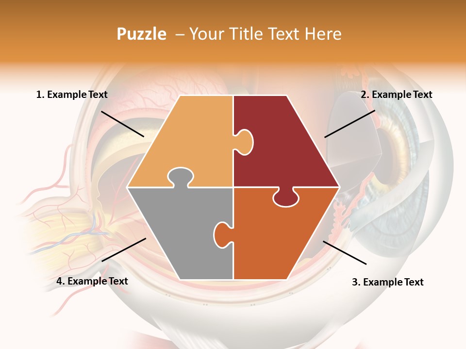 Anatomy Iris View PowerPoint Template