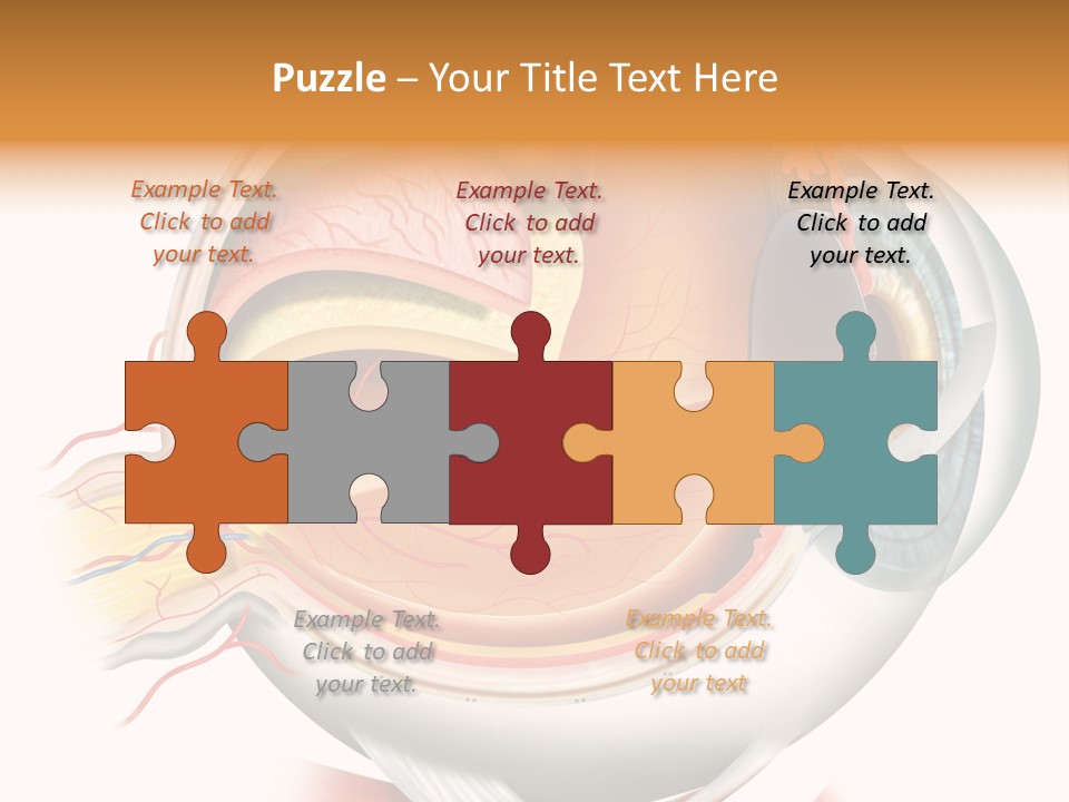 Anatomy Iris View PowerPoint Template