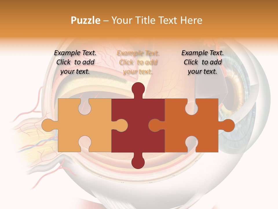 Anatomy Iris View PowerPoint Template