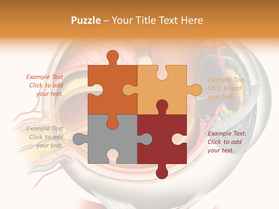 Anatomy Iris View PowerPoint Template