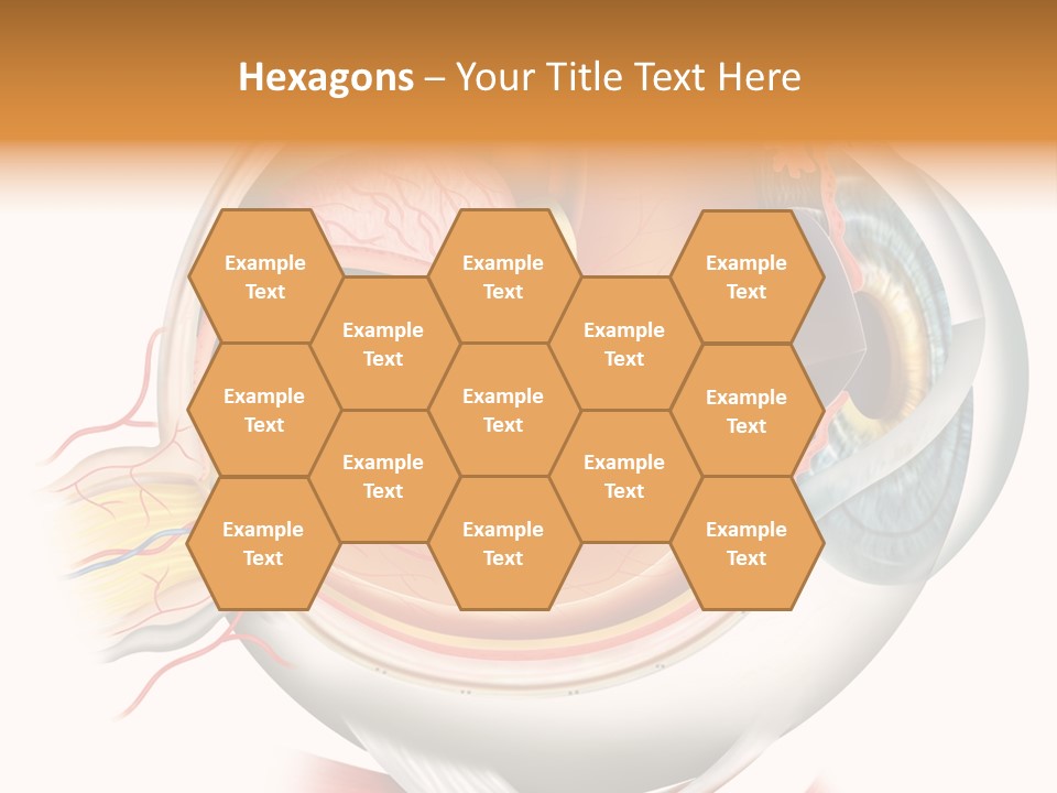 Anatomy Iris View PowerPoint Template
