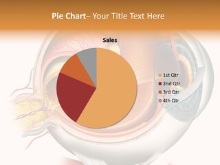 Anatomy Iris View PowerPoint Template