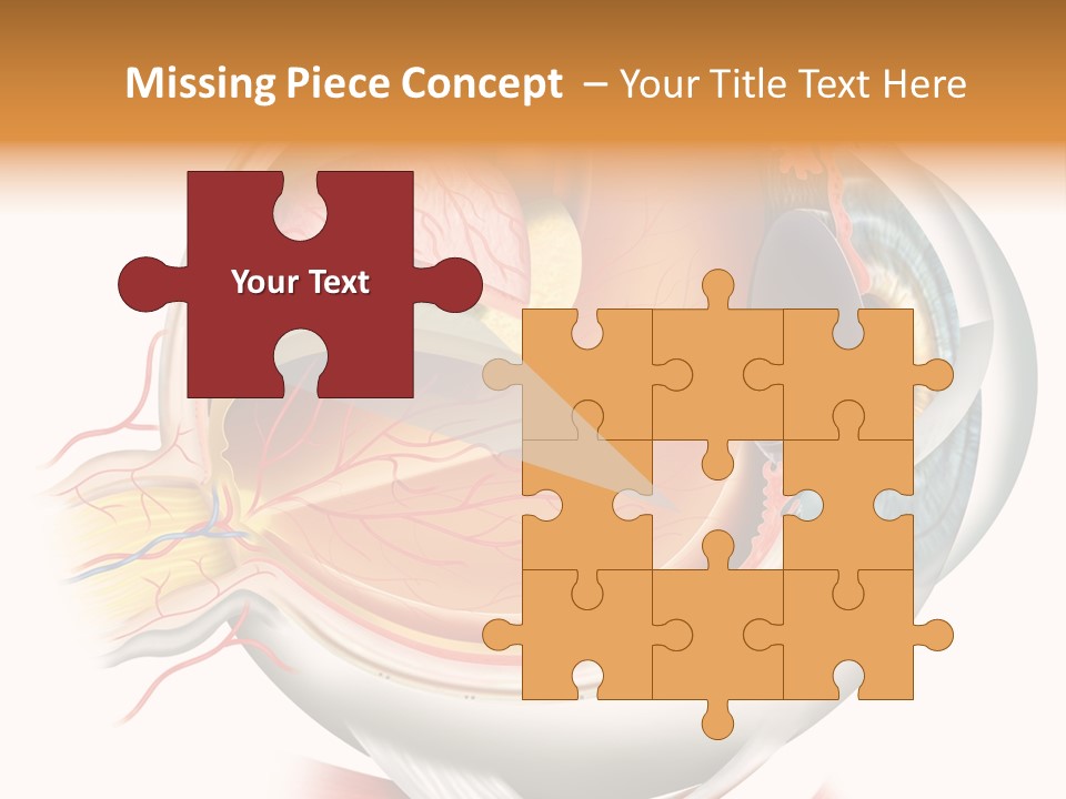 Anatomy Iris View PowerPoint Template