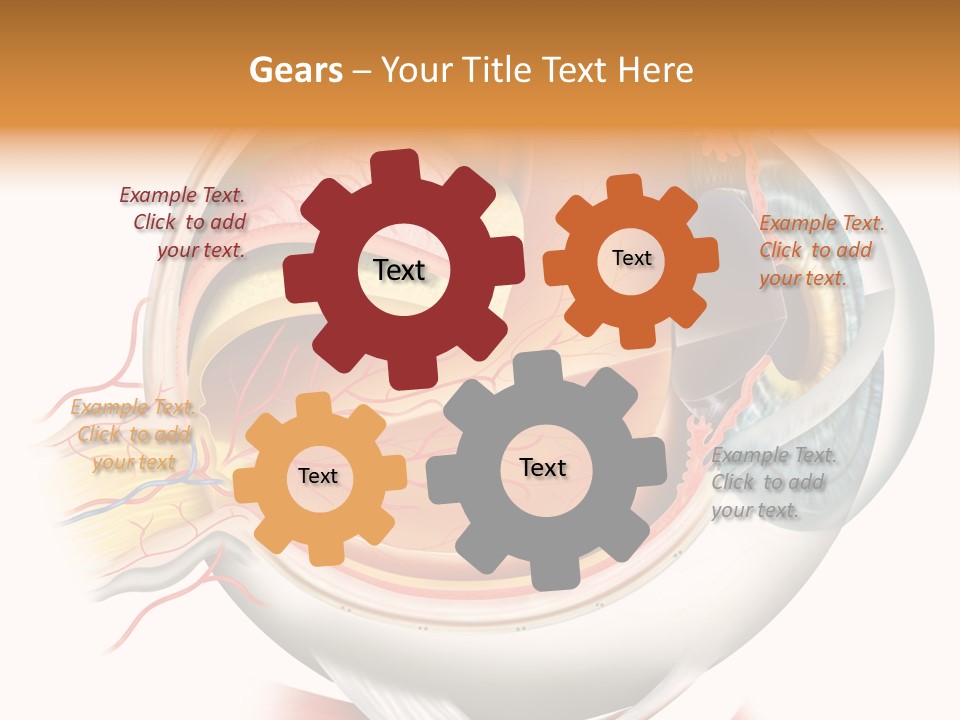 Anatomy Iris View PowerPoint Template