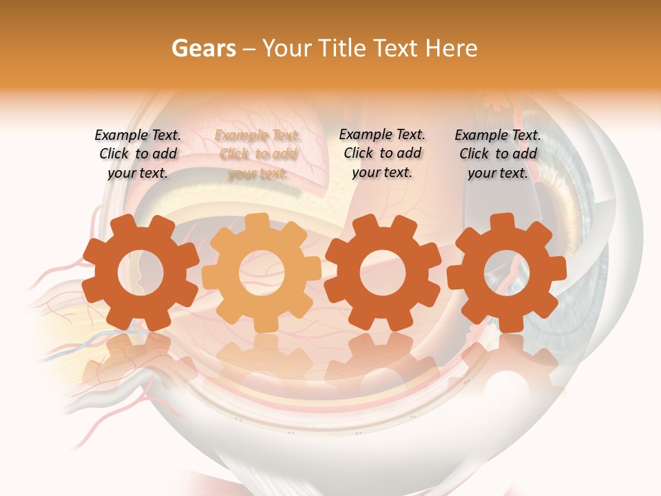 Anatomy Iris View PowerPoint Template