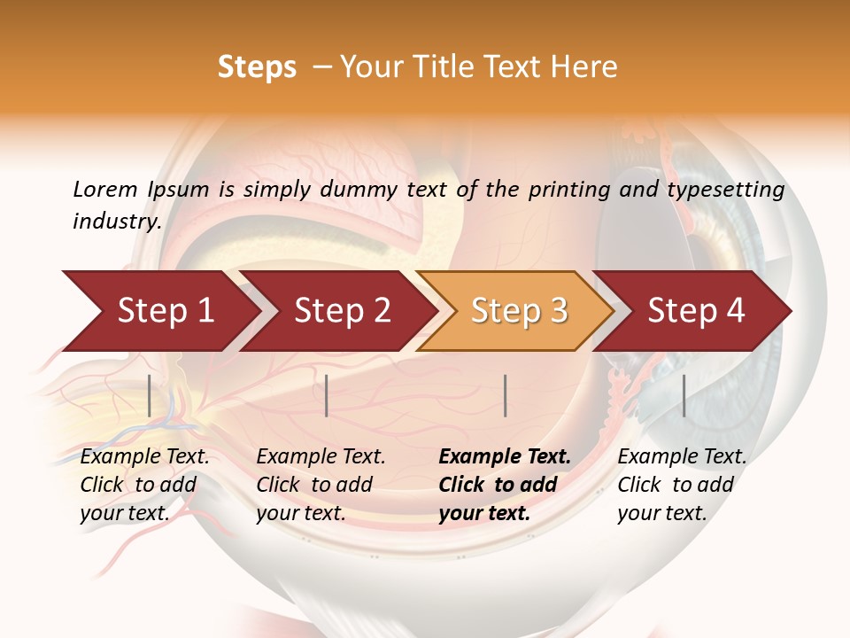 Anatomy Iris View PowerPoint Template