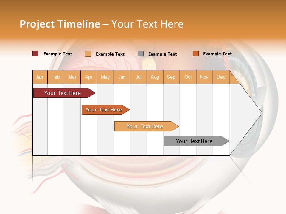 Anatomy Iris View PowerPoint Template