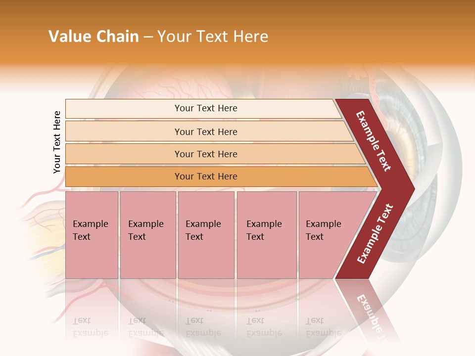 Anatomy Iris View PowerPoint Template