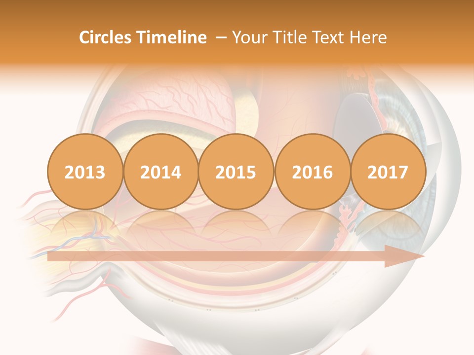 Anatomy Iris View PowerPoint Template