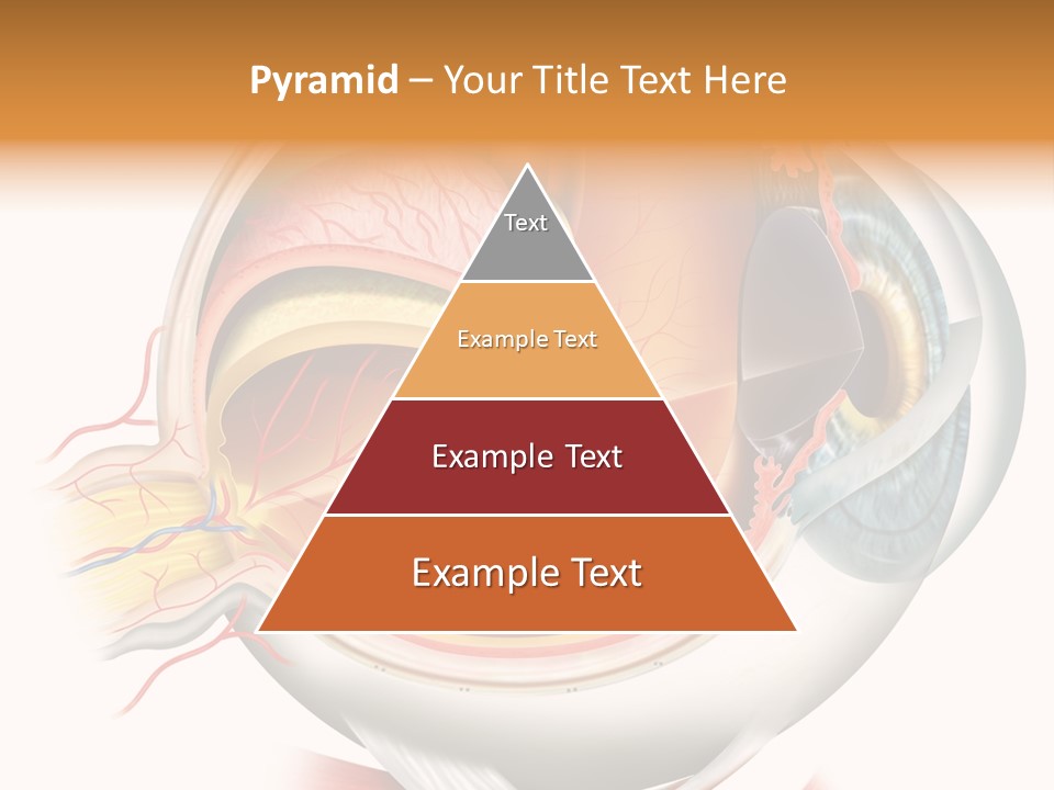 Anatomy Iris View PowerPoint Template