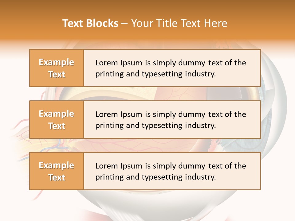 Anatomy Iris View PowerPoint Template