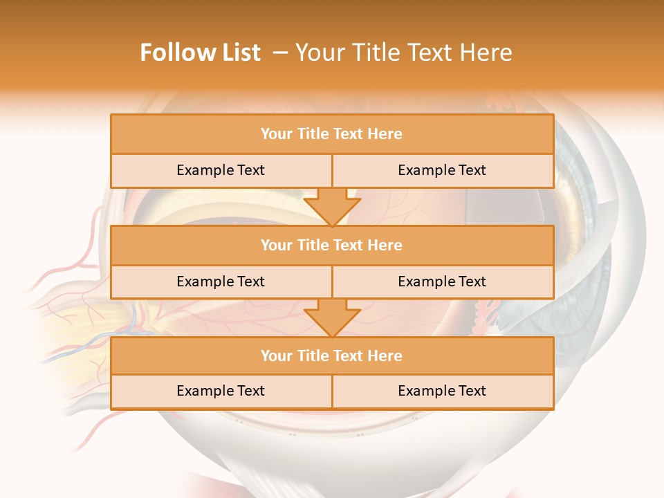 Anatomy Iris View PowerPoint Template