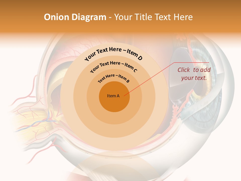 Anatomy Iris View PowerPoint Template