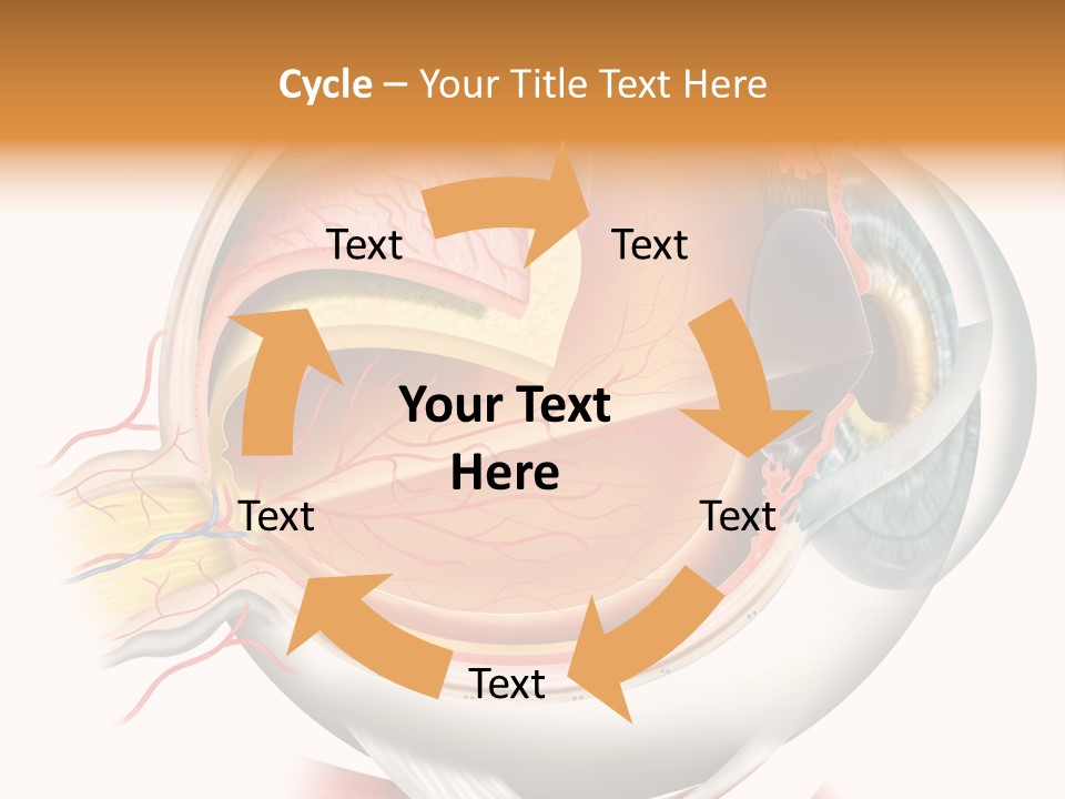 Anatomy Iris View PowerPoint Template