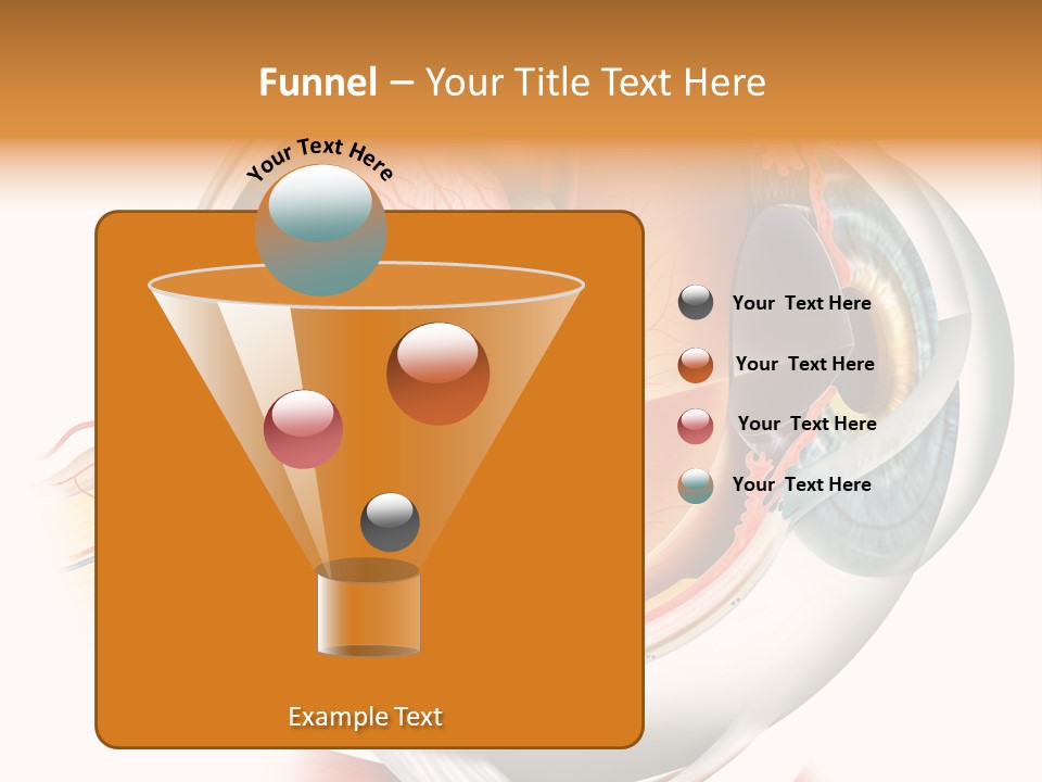 Anatomy Iris View PowerPoint Template