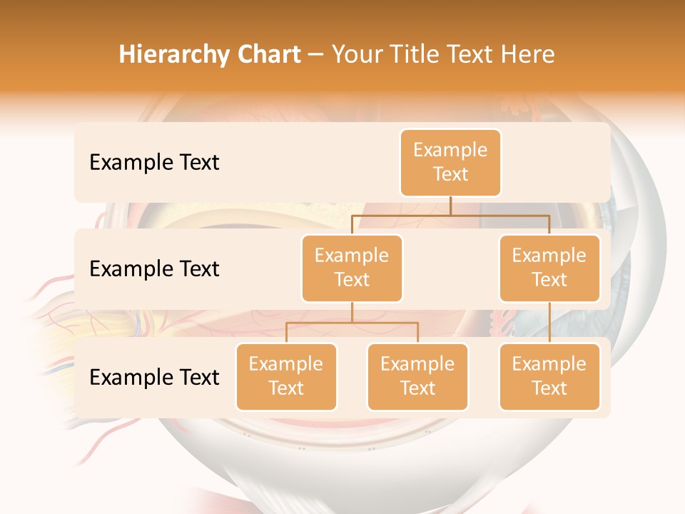 Anatomy Iris View PowerPoint Template