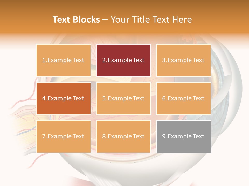 Anatomy Iris View PowerPoint Template