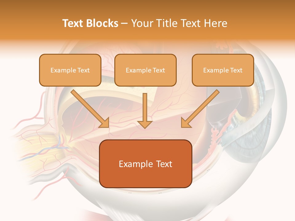 Anatomy Iris View PowerPoint Template
