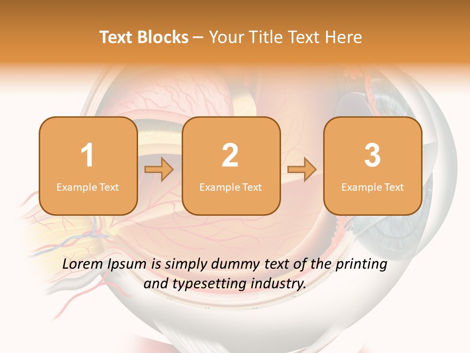 Anatomy Iris View PowerPoint Template