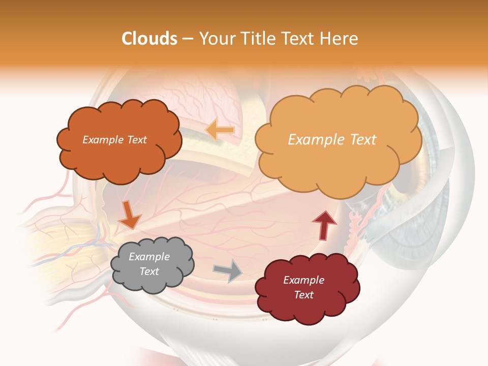 Anatomy Iris View PowerPoint Template