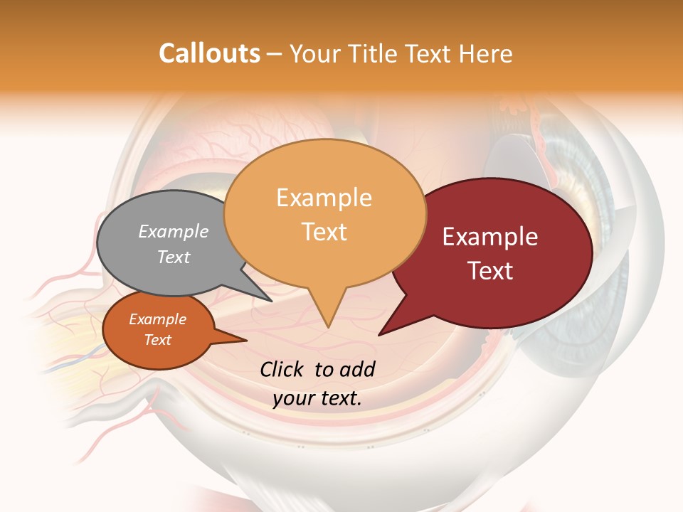 Anatomy Iris View PowerPoint Template