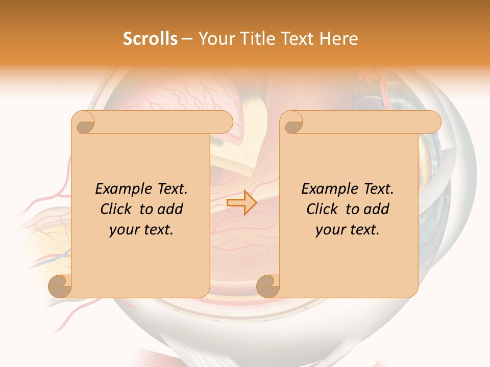 Anatomy Iris View PowerPoint Template