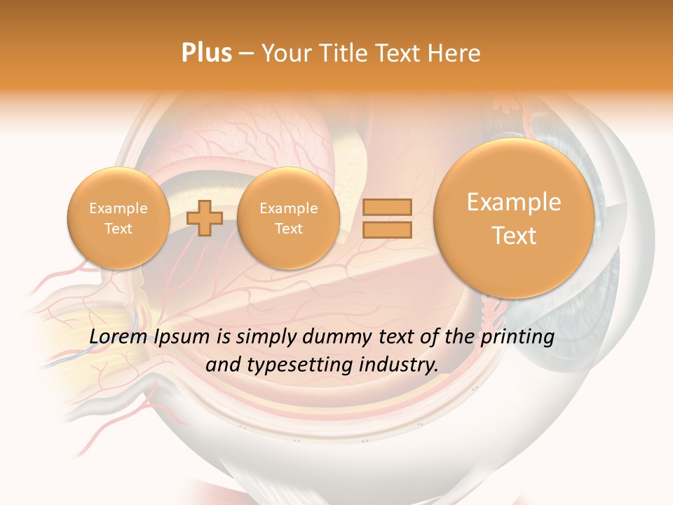 Anatomy Iris View PowerPoint Template
