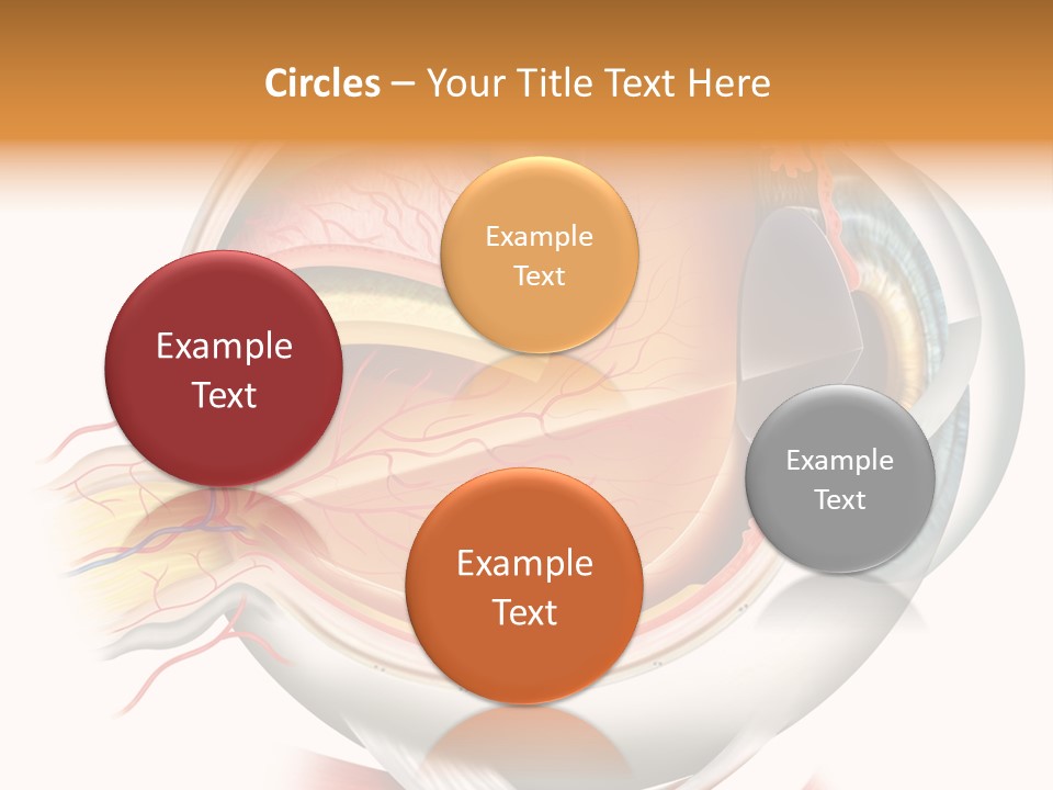 Anatomy Iris View PowerPoint Template