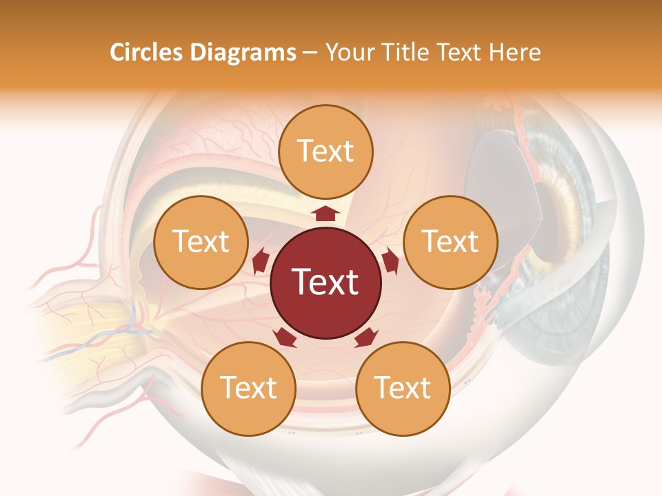 Anatomy Iris View PowerPoint Template