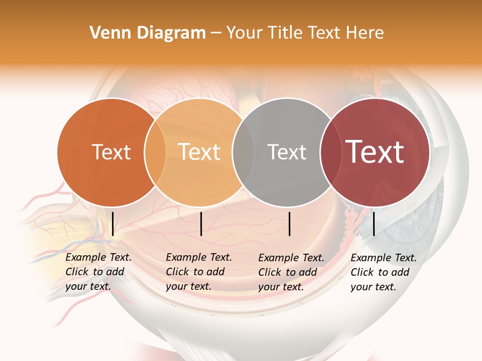 Anatomy Iris View PowerPoint Template