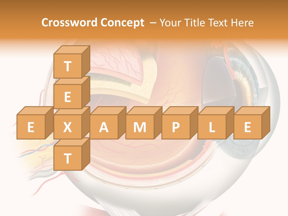 Anatomy Iris View PowerPoint Template