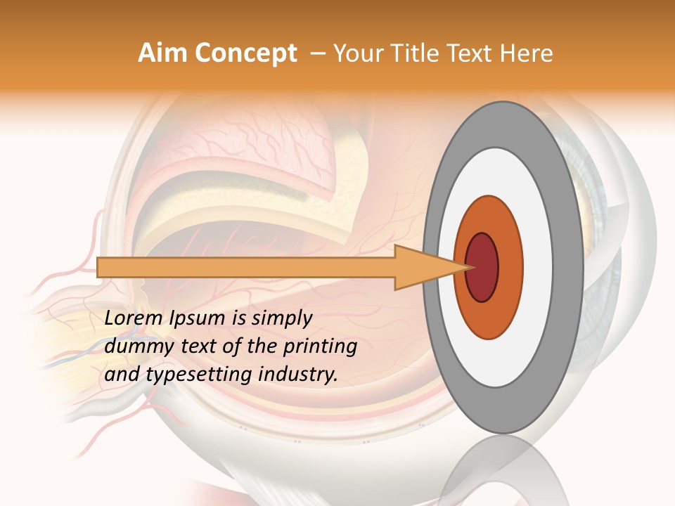 Anatomy Iris View PowerPoint Template
