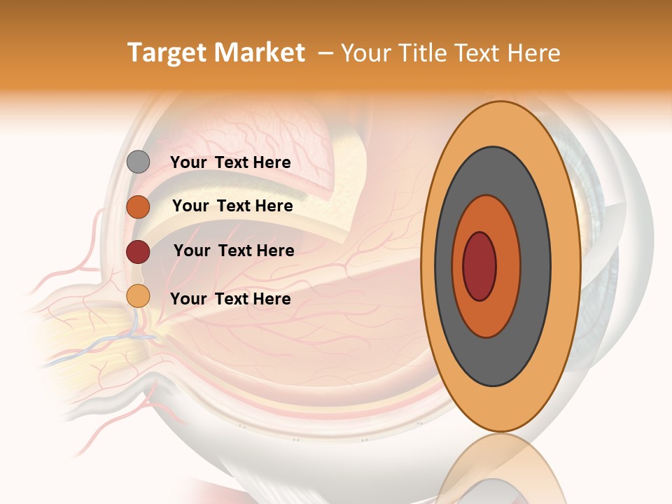 Anatomy Iris View PowerPoint Template
