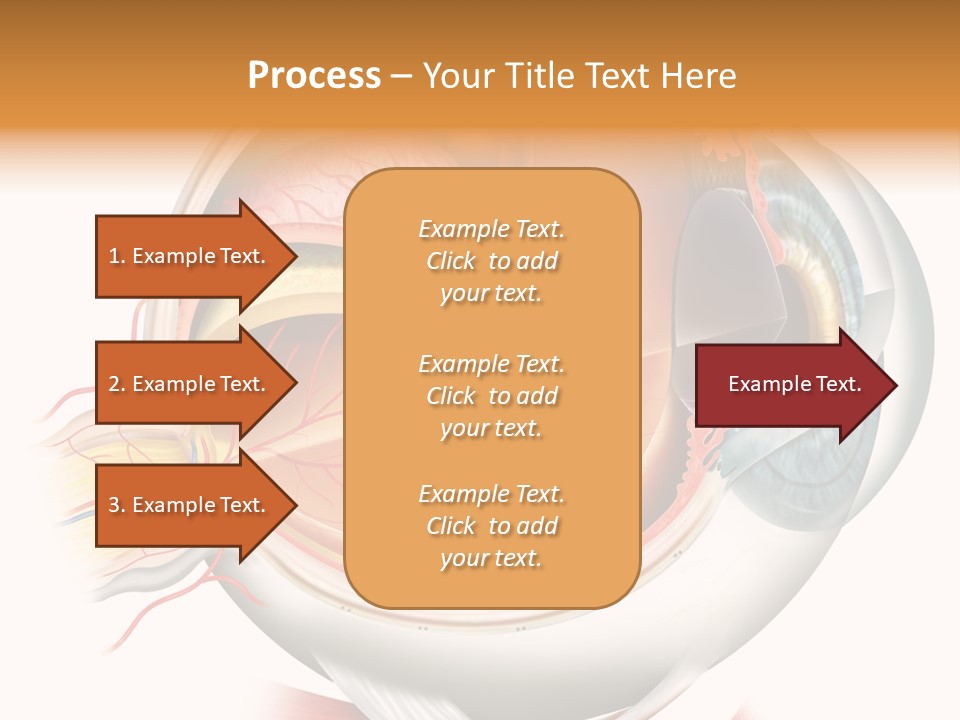 Anatomy Iris View PowerPoint Template