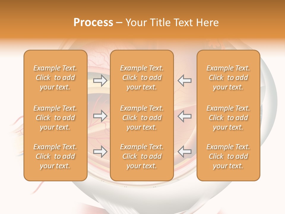 Anatomy Iris View PowerPoint Template
