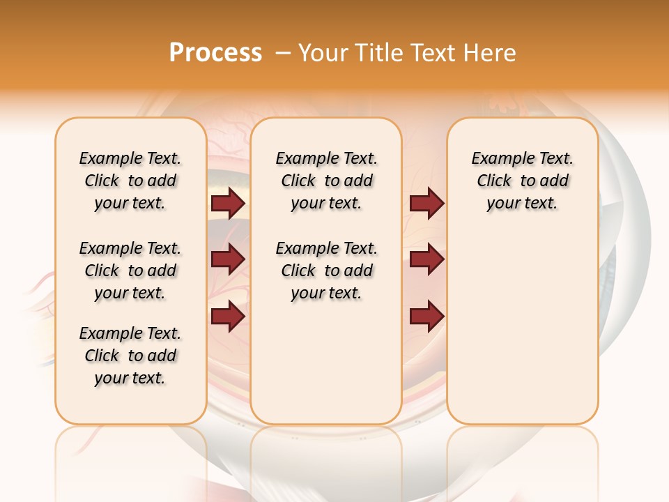 Anatomy Iris View PowerPoint Template