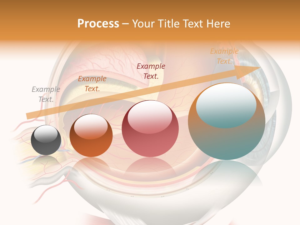 Anatomy Iris View PowerPoint Template
