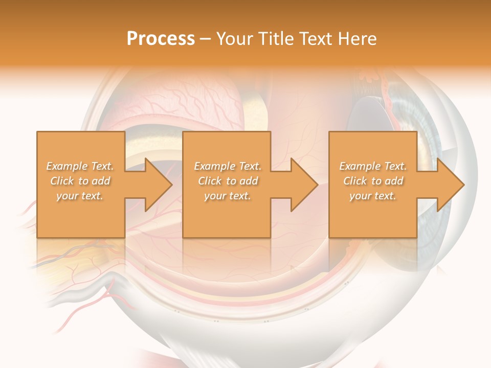 Anatomy Iris View PowerPoint Template
