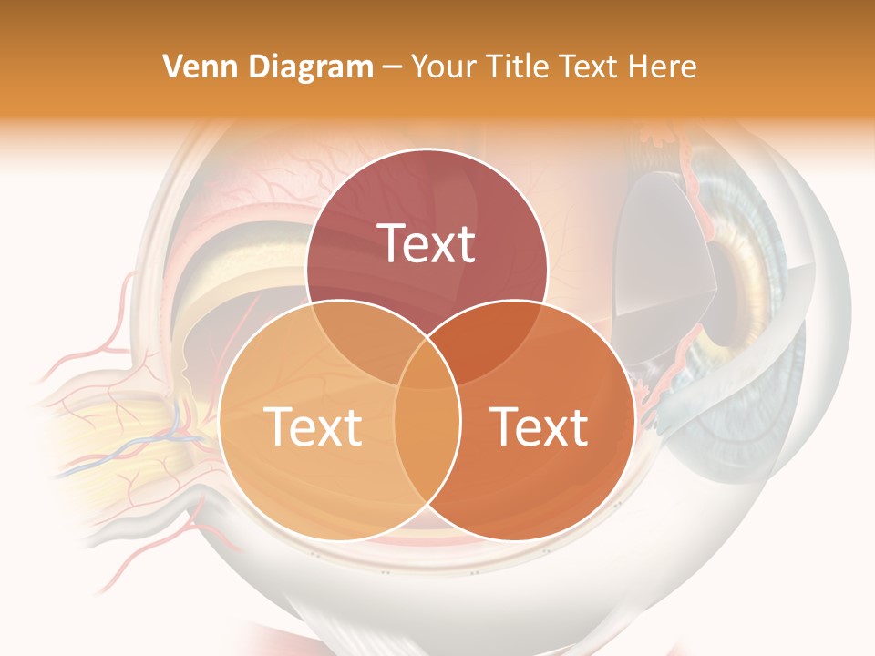 Anatomy Iris View PowerPoint Template