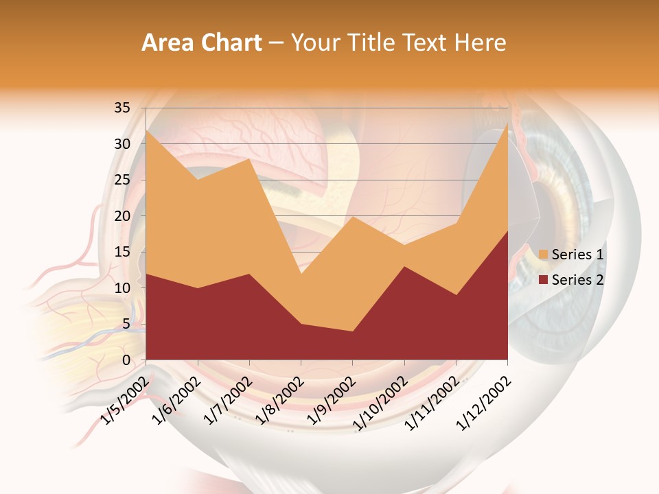 Anatomy Iris View PowerPoint Template